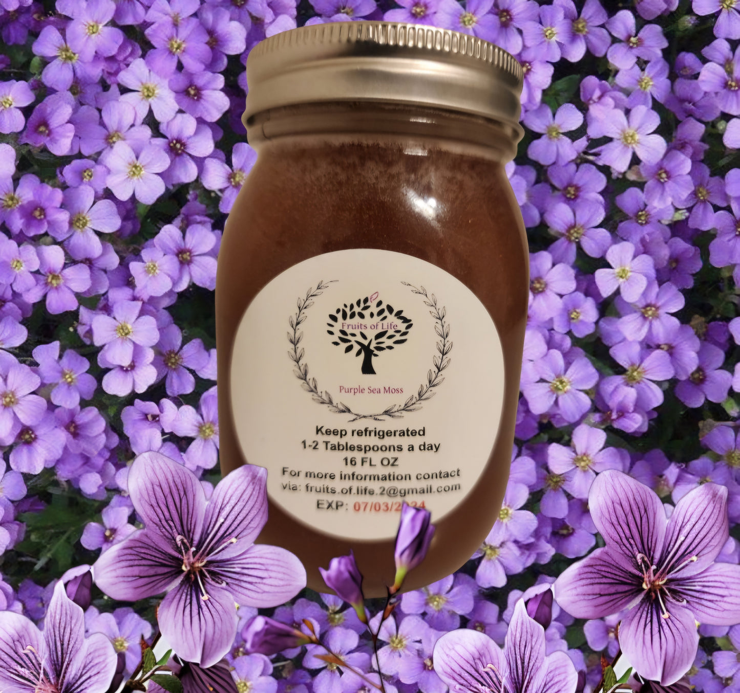 Fruits of Life Sea Moss Gel